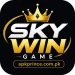 SkyWin Game