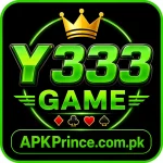 Y333 Game