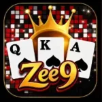 ZEE9 Game